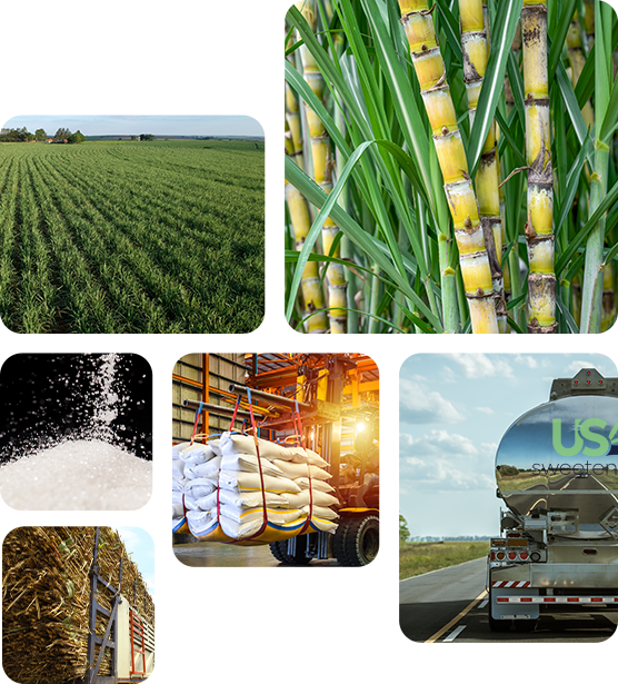 US Sweetener’s fields, plants, manufacturing, and trucks containing sweeteners and other base ingredients.